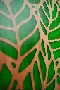 DSC01231.webp